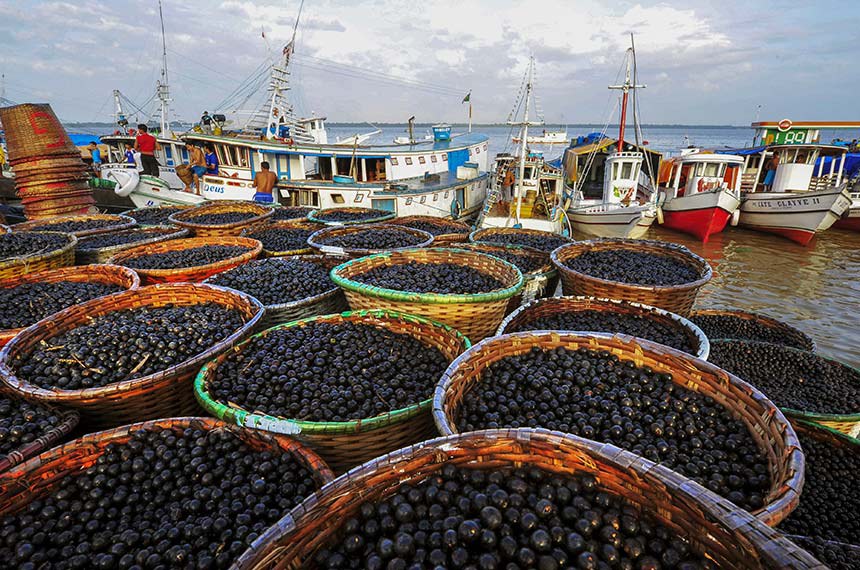 Açaí